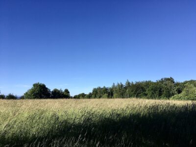 Caring for the environment